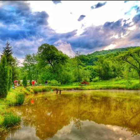 Pensiunea Cerbul - Valea Dobarlaului エクステリア 写真