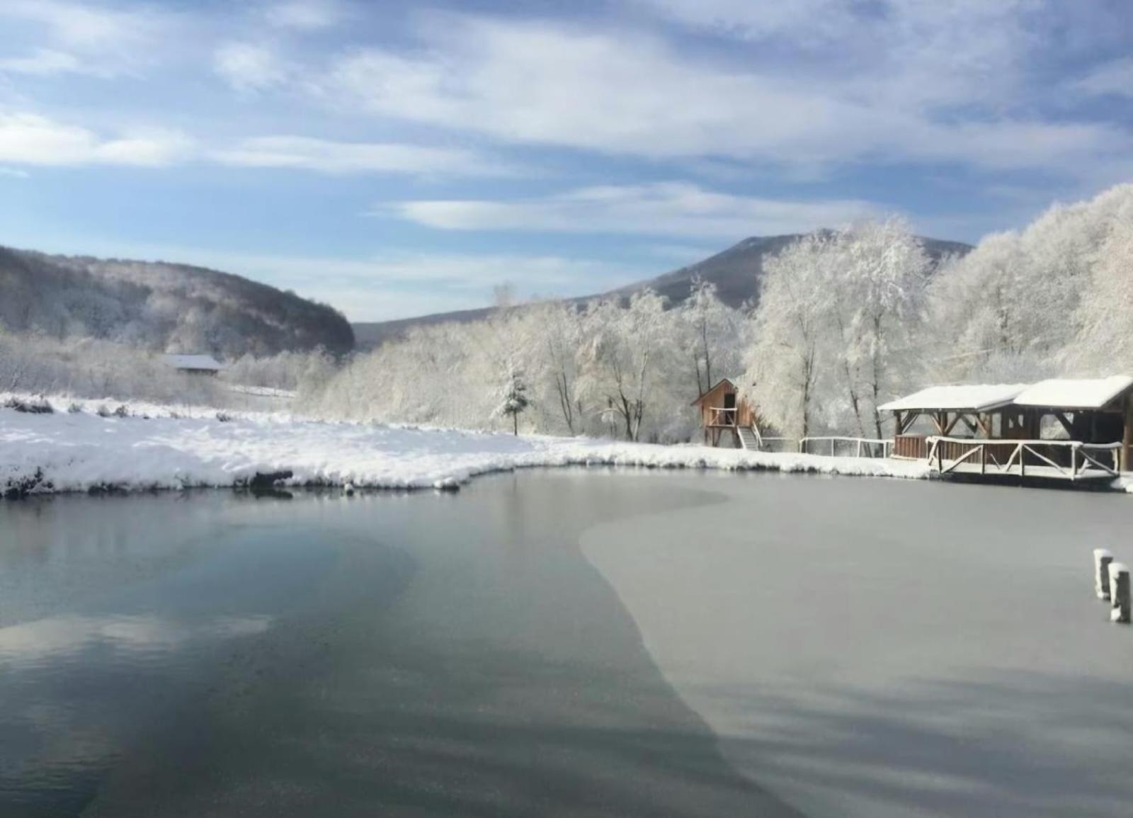 Pensiunea Cerbul - Valea Dobarlaului エクステリア 写真